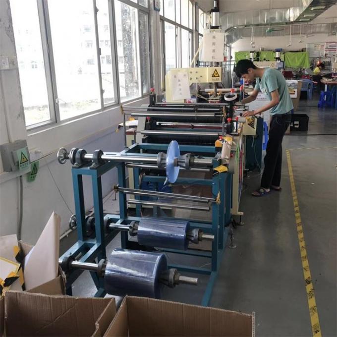 El ANIMAL DOMÉSTICO de encargo PP picosegundo del PVC recicla la bolsa de plástico de empaquetado de la exhibición del regalo